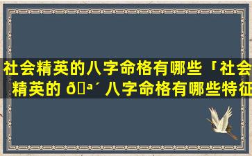 社会精英的八字命格有哪些「社会精英的 🪴 八字命格有哪些特征」